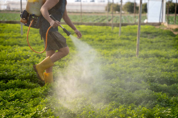 Best Local Pest Control Services  in Upper Exeter, PA